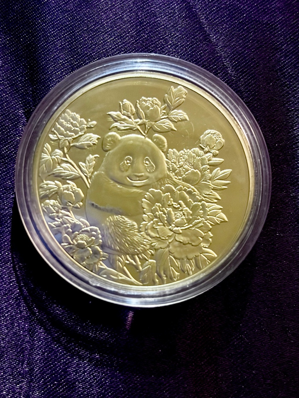 Gold Panda & Bamboo Chinese Coin in Clear Case